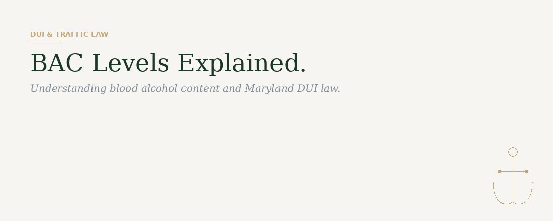 BAC levels explained — understanding blood alcohol content and Maryland DUI law by Cochran and Chhabra